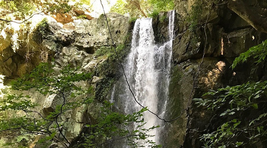 🏞️ 아이야 폭포 (아이야노타키) 이미지 1